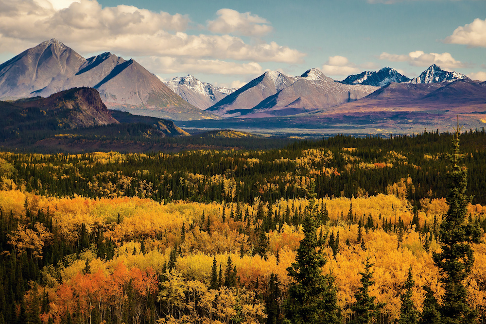 Denali State Park